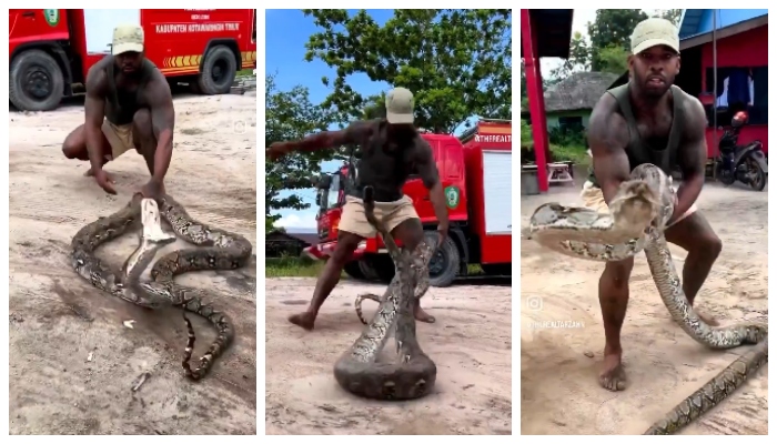 Video of man escaping snake bite goes viral