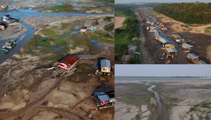 Rainfall shortage Amazon rainforest River drying up mrq