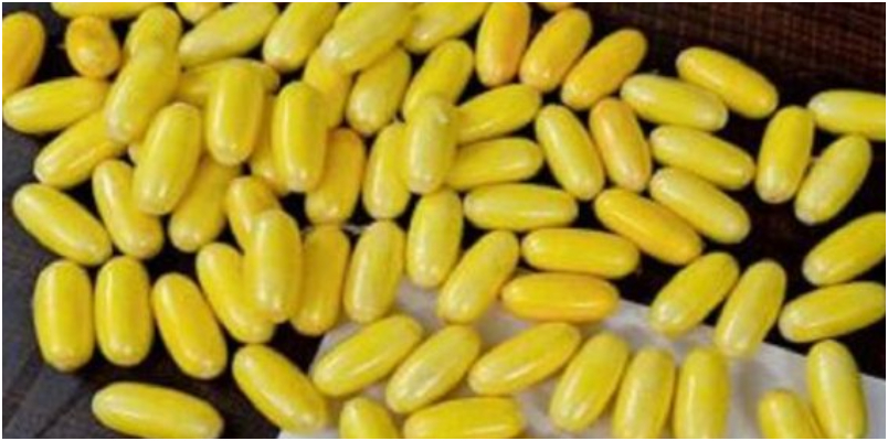 woman swallowed 124 capsules worth 9.73 crores before landing arrested