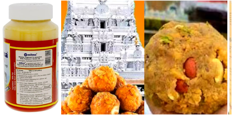 Tirupati laddu controversy latest updates No business dealings with them since 2016 says milma