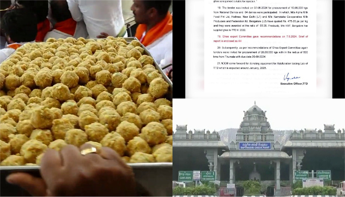 Tirupati laddu row: Only pure ghee used to make laddus, says TTD report anr