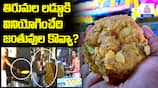 Tirumala Laddu Controversy: Are Animal Fats Being Used in Preparation?