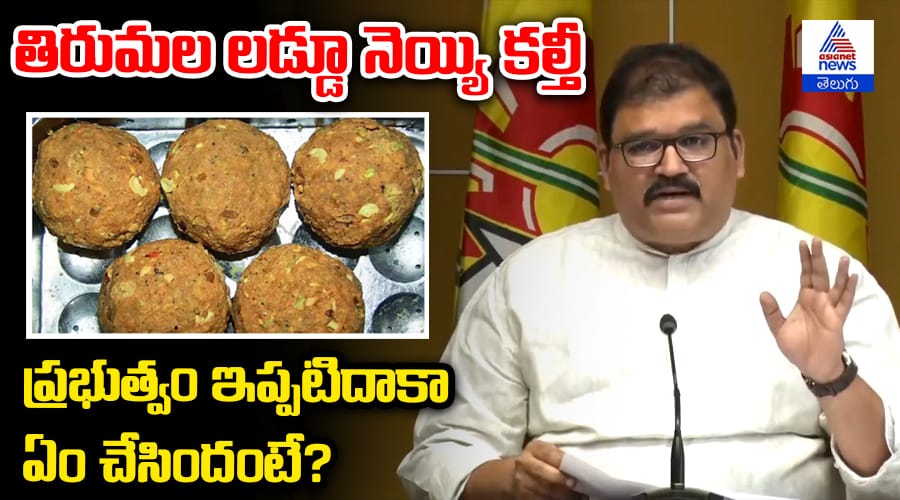 Tirumala Laddu Ghee Issue: What Has the Government Done?