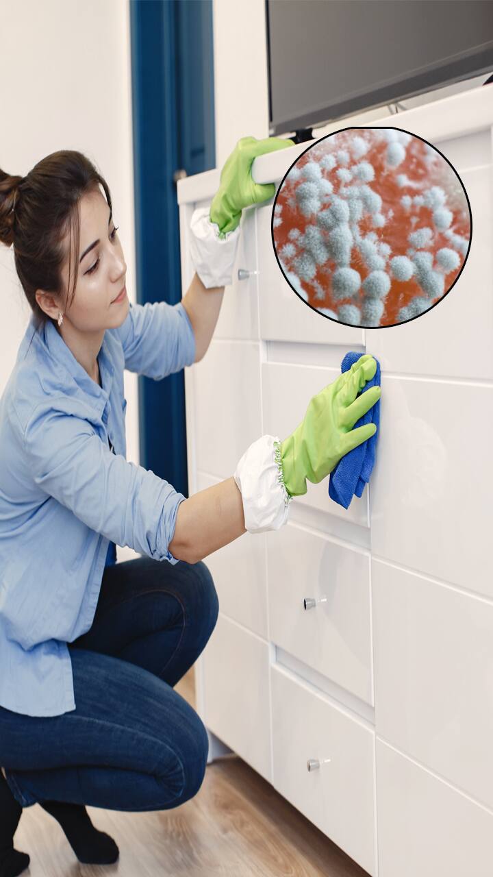 8 ways to remove mold and keep bathroom cabinets clean RKK