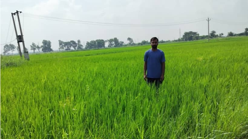 Success Story: बीटेक की पढ़ाई बेंगलुरु में नौकरी पर स्मार्ट खेती से बनी पहचान, अब सालाना कमाई 35 लाख के पार