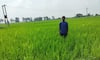 Corporate Career to Farming Success: Dushyant Kumar Singh's inspiring journey in natural farming