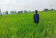 btech-to-farmer-dushyant-singh-success-story-35-lakh-annual-income