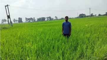 btech-to-farmer-dushyant-singh-success-story-35-lakh-annual-income