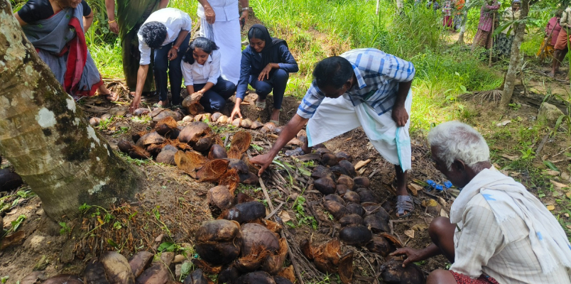 panchayath starts works to prevent drought in pulpally 