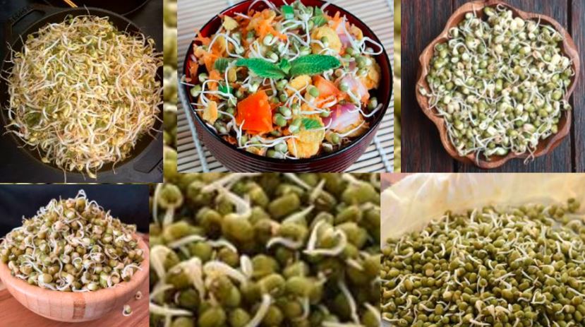 Sprouted Moong: The Superfood That Prevent Heart Disease, Diabetes & Cancer