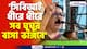 'সিবিআই ধীরে ধীরে সব ঘুঘুর বাসা ভাঙ্গবে' আর জি কর প্রসঙ্গে মন্তব্য দেবশ্রী চৌধুরীর