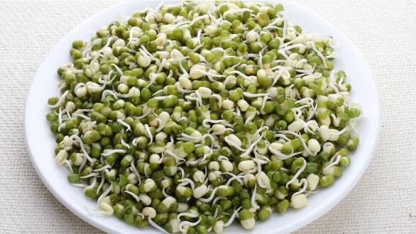 sprouted moong 