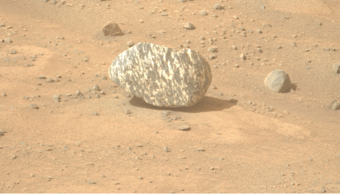 Perseverance Rover spotted a black and white striped rock like Zebra 