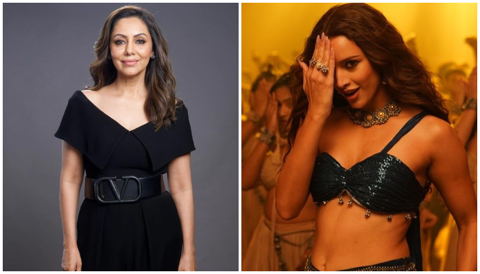 Did Gauri Khan join poll criticizing Bollywood's treatment of Triptii Dimri? See details RTM