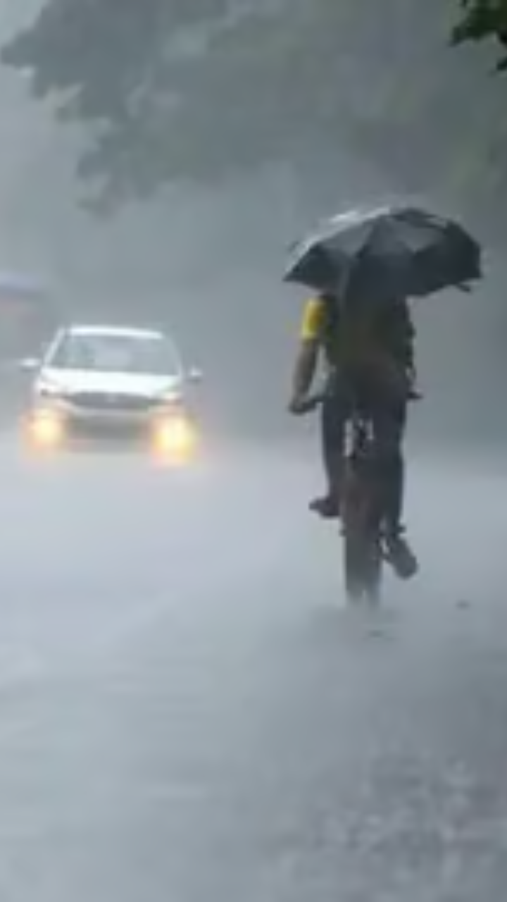 mumbai rain news