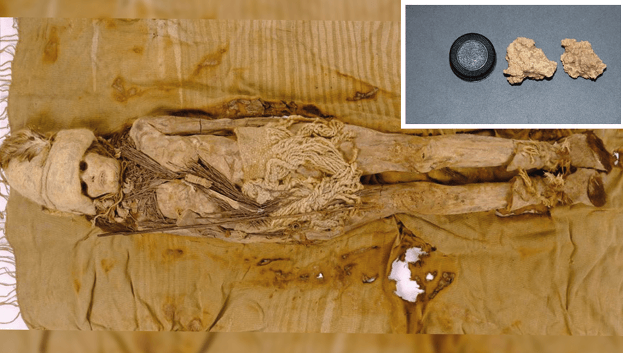 World's oldest cheese found on 3,600-year-old mummies in China, scientists extract DNA shk