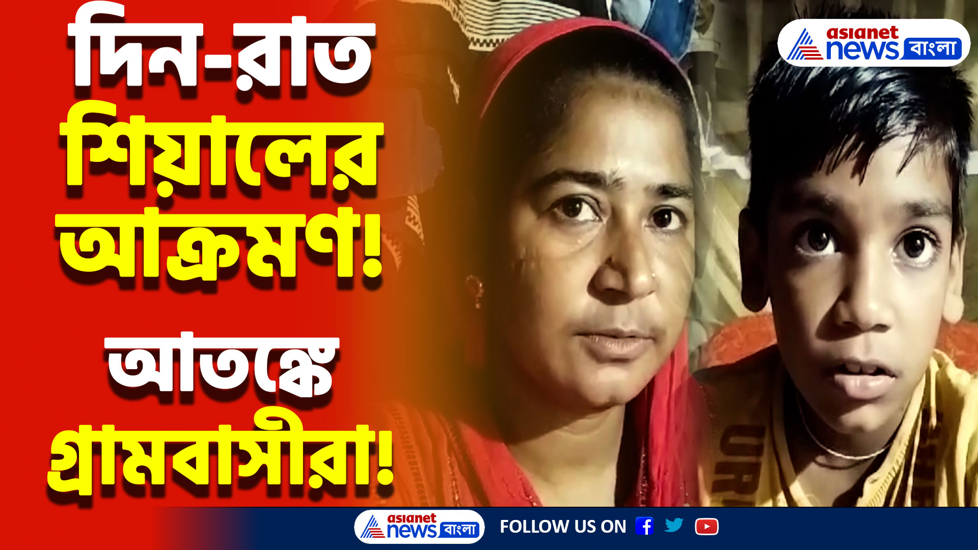 বাড়ি থেকে বেরোতে হচ্ছে লাঠি নিয়ে! শিয়ালের উপদ্রবে অতিষ্ঠ গ্রামবাসী