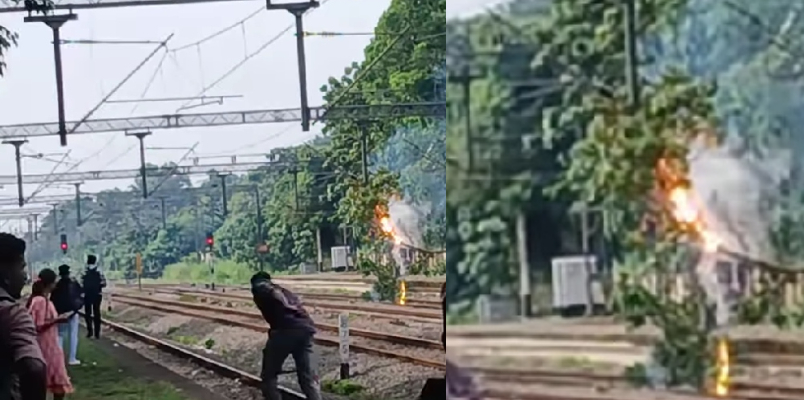 Train services disrupted due to tree fall on rail track in haripad railway station