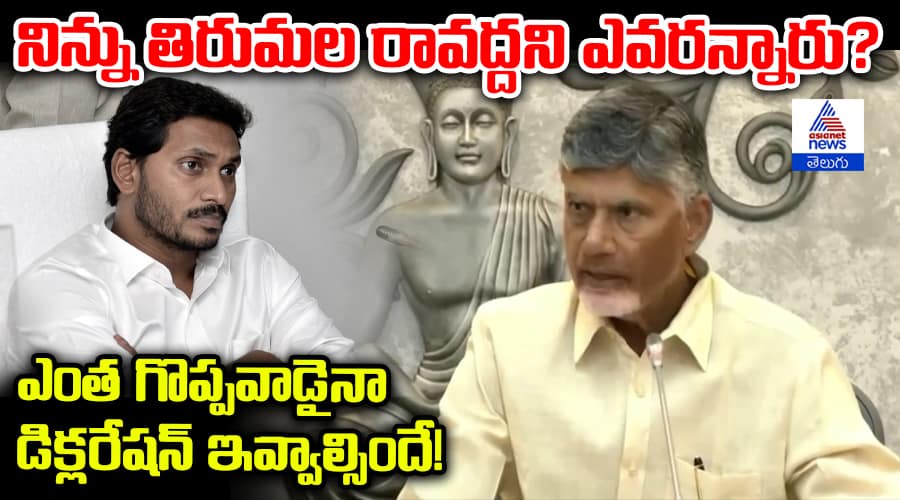 Nara Chandrababu Naidu Commenst on Jagan