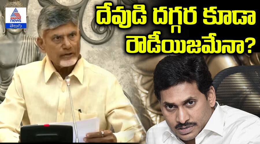 AP CM Nara Chandrababu Naidu Comments on Jagan