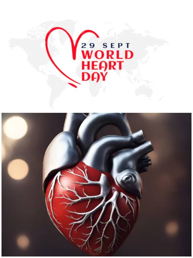 World Heart Day: 7 Essential tips to maintain a healthy heart NTI