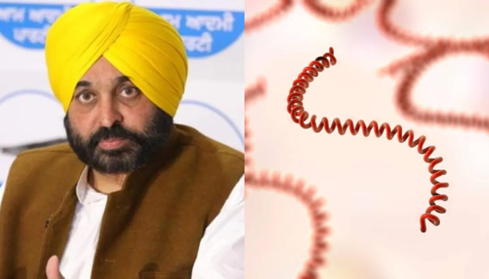 Punjab CM Bhagwant Mann diagnosed with Leptospirosis: What you need to know about the disease anr