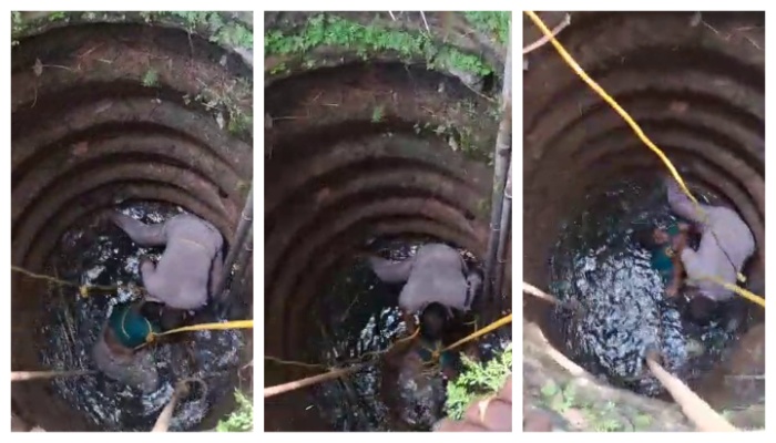 kollam puthur si jayesh rescued 74 year old woman radhamma who fell into well