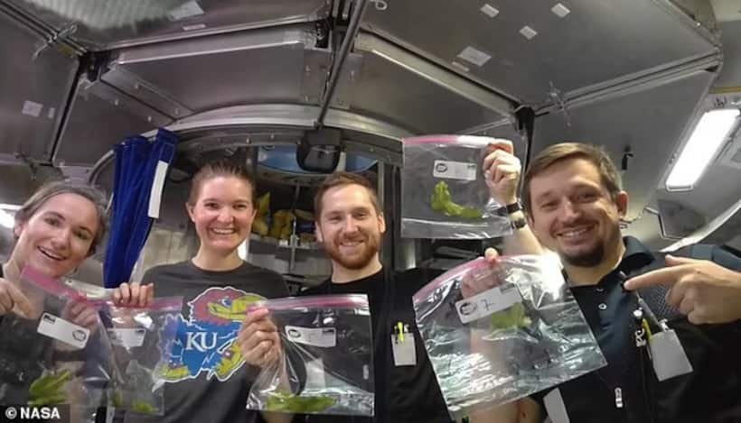 45 days on 'Mars': How 4 scientists survived brutal reality of life on Red Planet during NASA's simulation