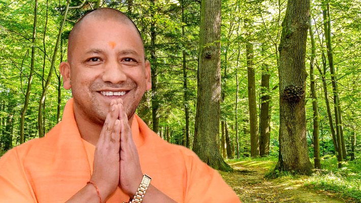 Yogi government has planted 36 crore saplings in Uttar Pradesh KAK