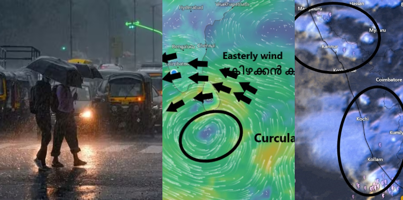 imd issued yellow alert in kerala for 9 districts kerala expected heavy rain and thunderstorms today