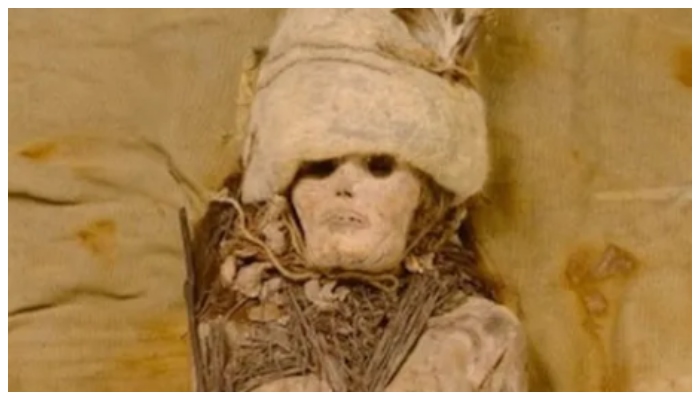 3600 year old cheese was discovered in the neck of a mummified woman