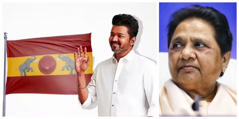 Solace for Vijay's party; Mayawati's BSP complaint against TVK rejected