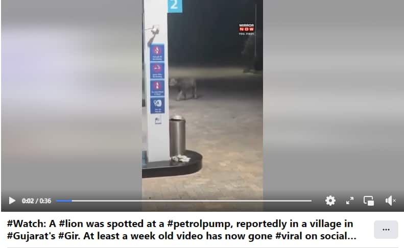 Viral video of Lion at petrol pump in Nilambur here is the fact 