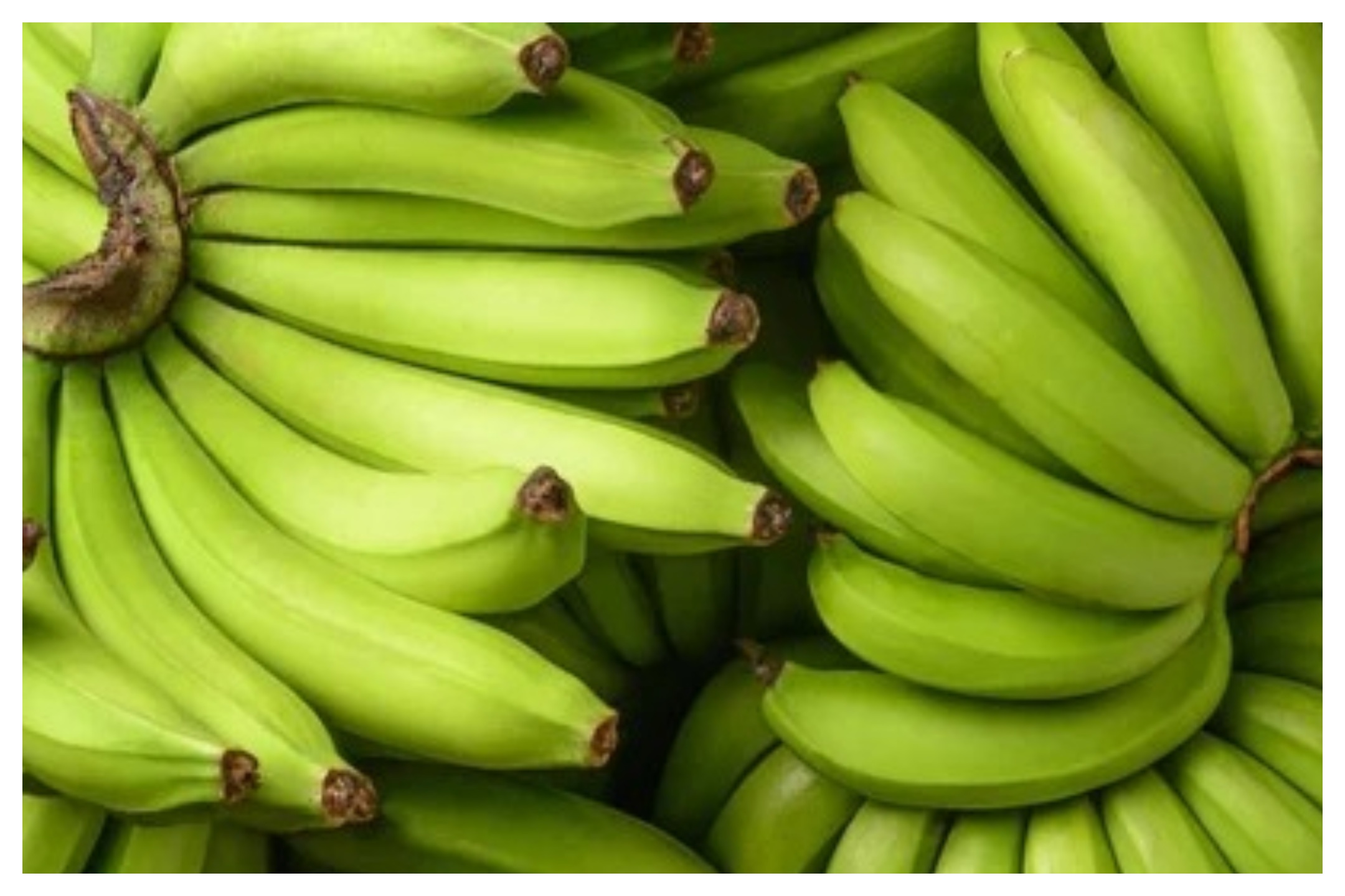 Benefits of eating Green Banana ram 