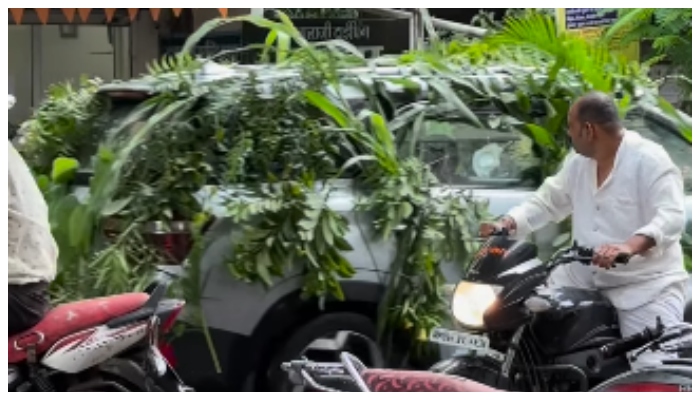 Video of wedding cart wrapped in leaves of plants goes viral  in social media     