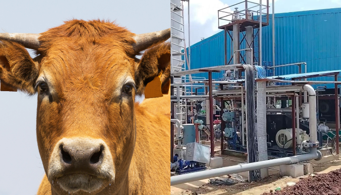 PM Modi will inaugurate 100 TPD cattle dung based Compressed Bio Gas plant in Gwalior