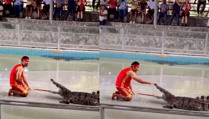 man puts his hand in crocodiles mouth shocking video