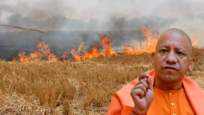 CM Yogi Aditynath led UP Govt preparing action plan to curb burning of crop residue