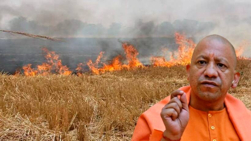 Yogi Adityanath govt achieves 46 percent reduction in stubble burning in UP