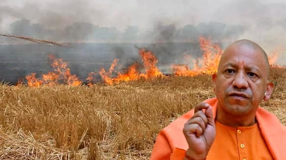 CM Yogi Adityanath GOVT Achieves 46 percent reduction in stubble burning in UP Over 7 Years AKP