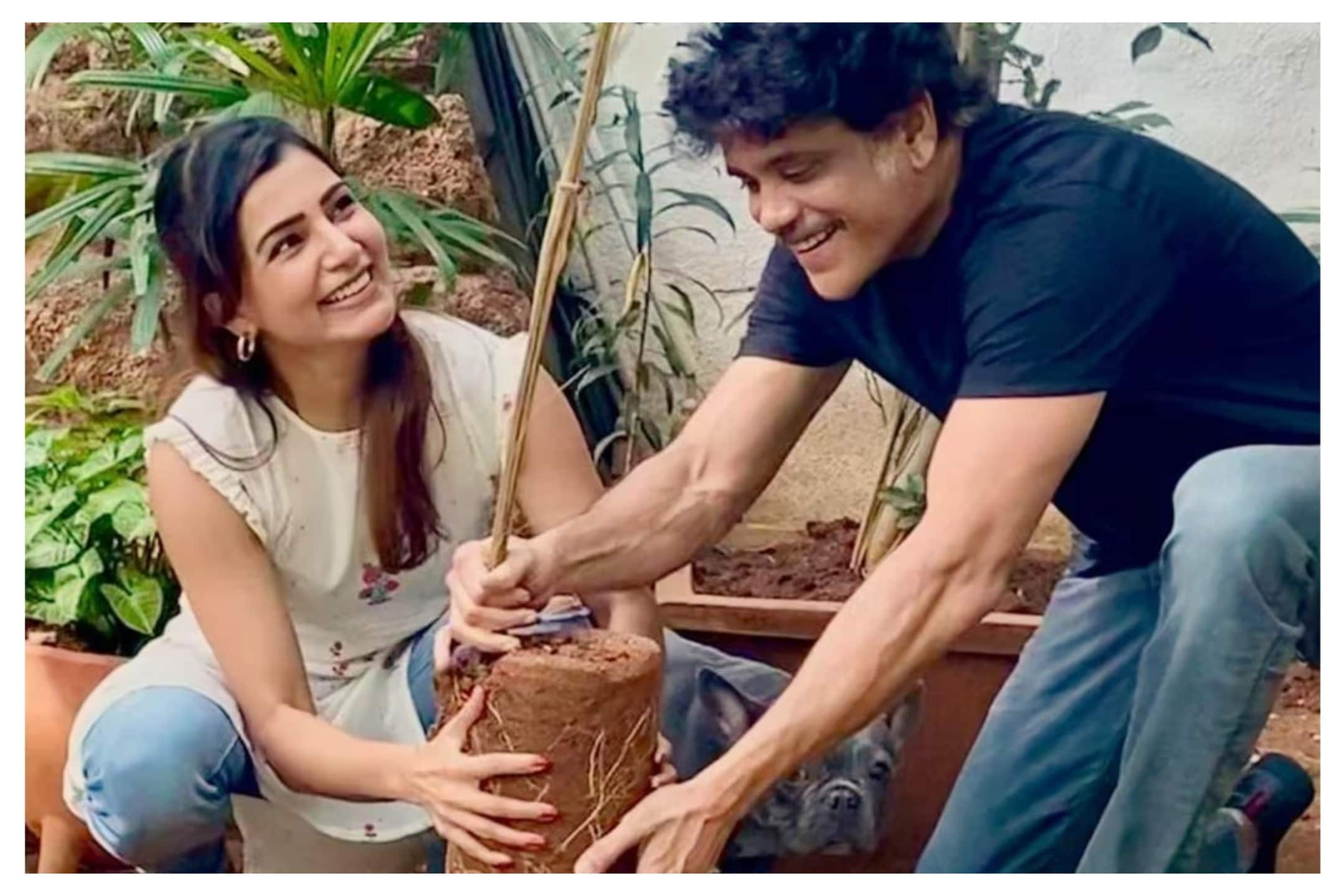 Nagarjuna fumes as Telangana Minister links KTR to Samantha-Naga Chaitanya's divorce vel