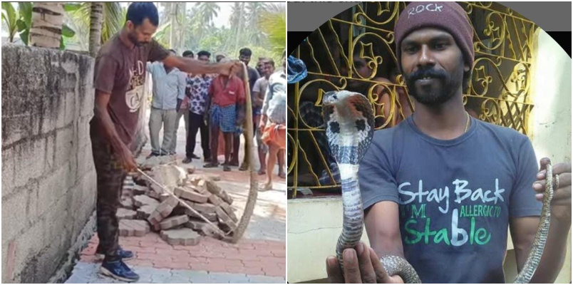 opened bag to release cobra bitten by snake in Ponmudi SARPA volunteer who was in treatment died