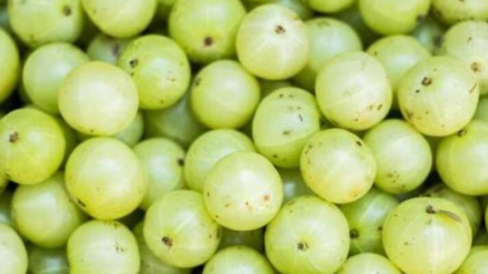 amla  new