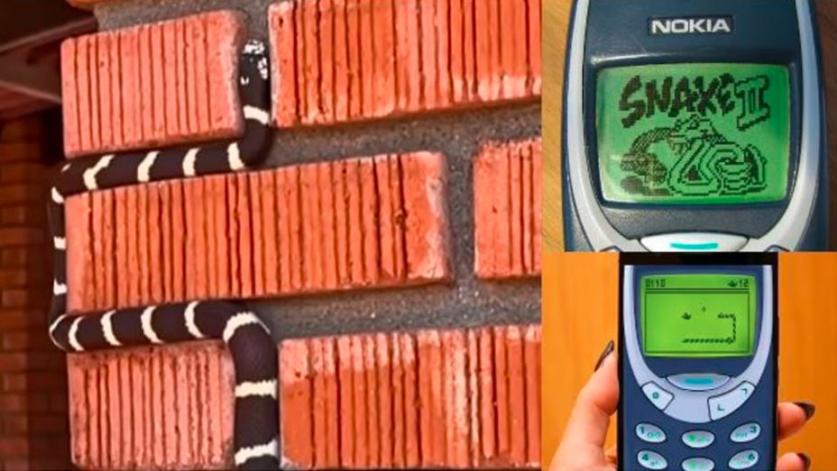 Kingsnakes Wall Climb Reminds Netizens of Classic Nokia Game