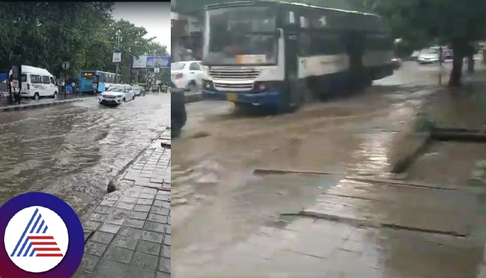 Bengaluru IMD issues heavy rainfall alert until October 9 due to stormy winds from Lakshadweep vkp