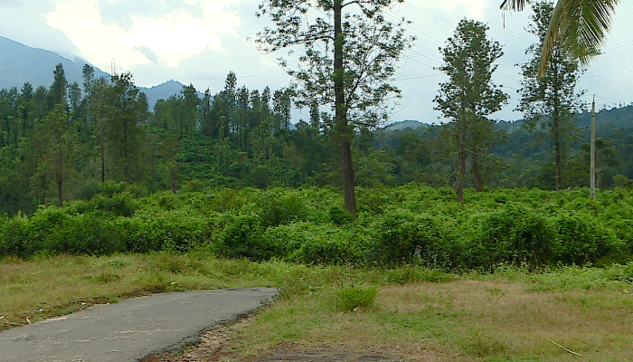 wayanad landslide disaster affected peoples rehabilitation township likely in nedumbala Environment department approval required, list of beneficiaries soon