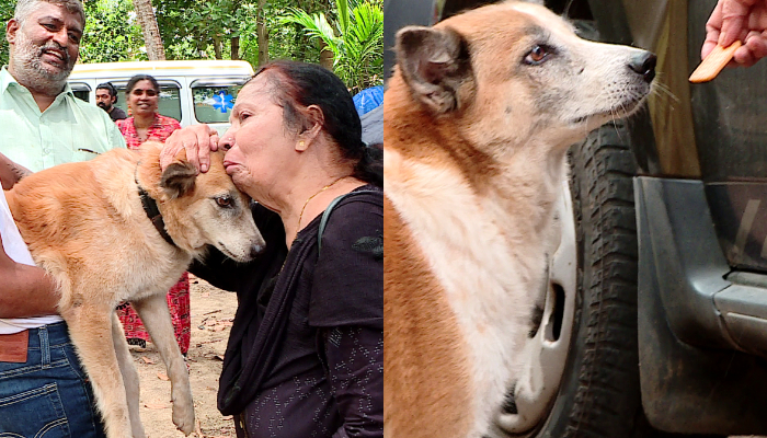 Interference with the Asianet News story where pet dogs were released from a foreclosed house in Kochi