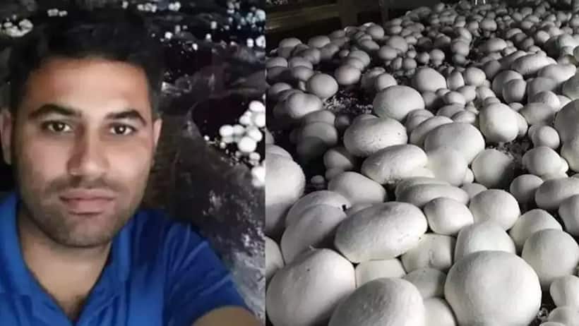 Success Story: एमबीए के बाद नौकरी नहीं, मशरूम खेती से कमाए 90 लाख, जानिए कैसे?