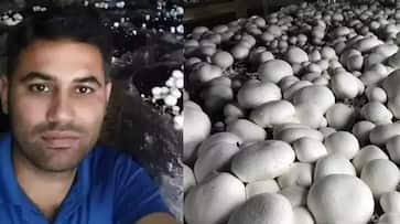 Jammu Kashmir mushroom-farmer-arun-sharma-success-story