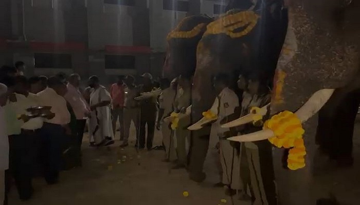 Elephants Team Arrived to Shivamogga For Attend Dasara Jambusavari grg 